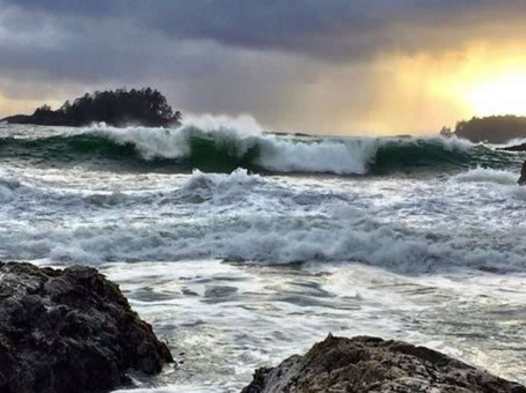 Tofino storm watching