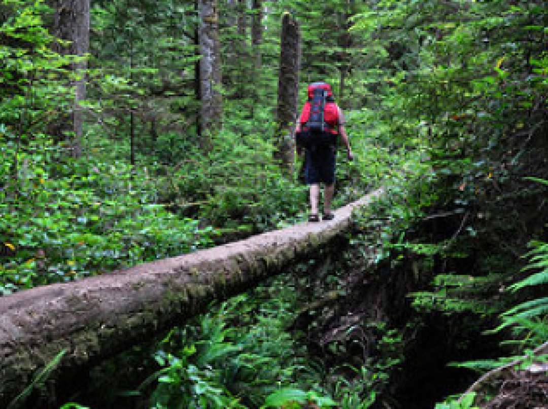 West coast trail 2025 pacific rim national park